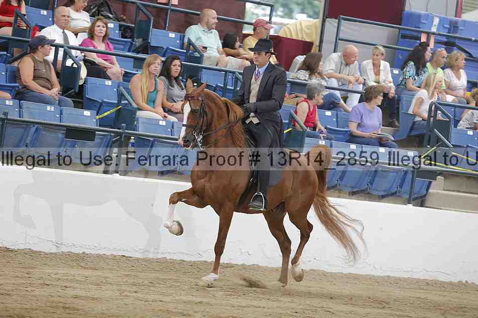 Proof 13r14_2859