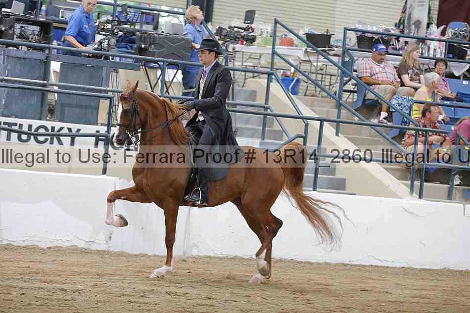 Proof 13r14_2860