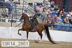 13r14_2861 proof