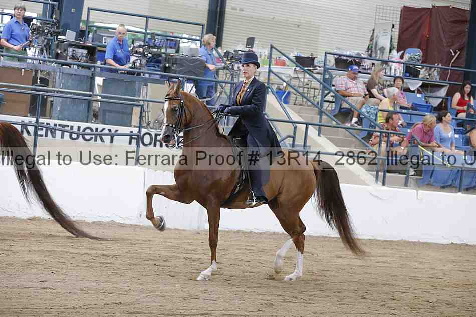 Proof 13r14_2862