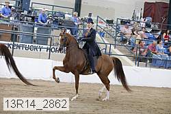 13r14_2862 proof
