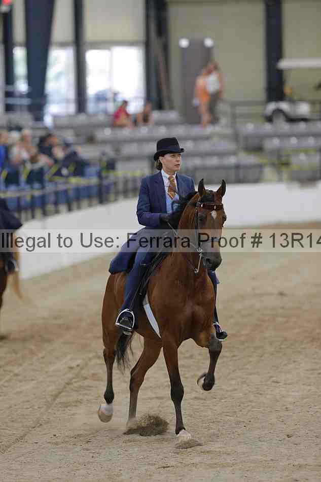 Proof 13r14_2863