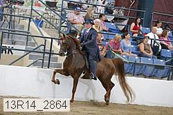 13r14_2864 proof