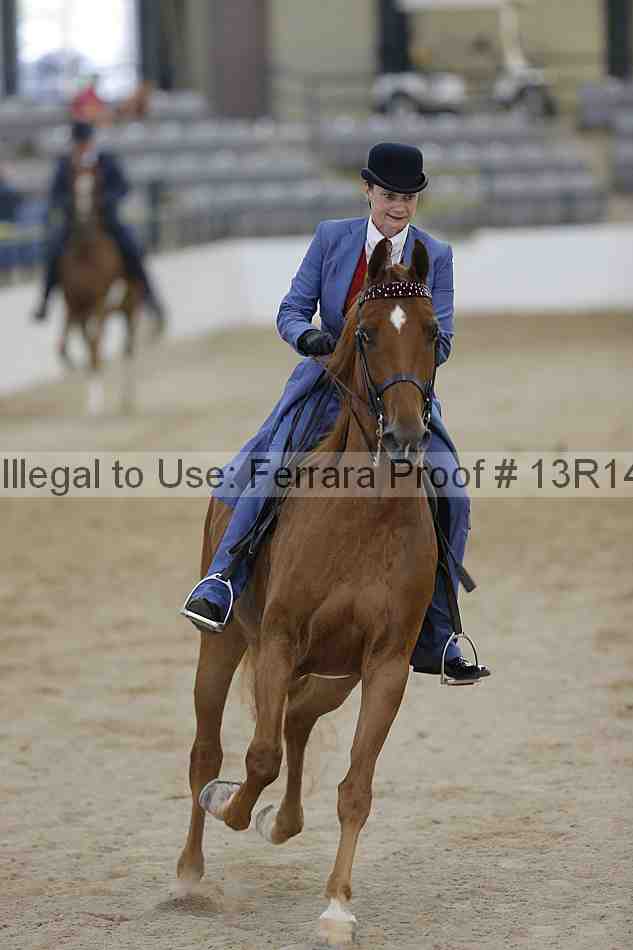 Proof 13r14_2867