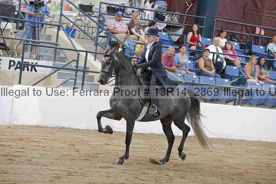 Proof 13r14_2869