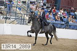 13r14_2869 proof