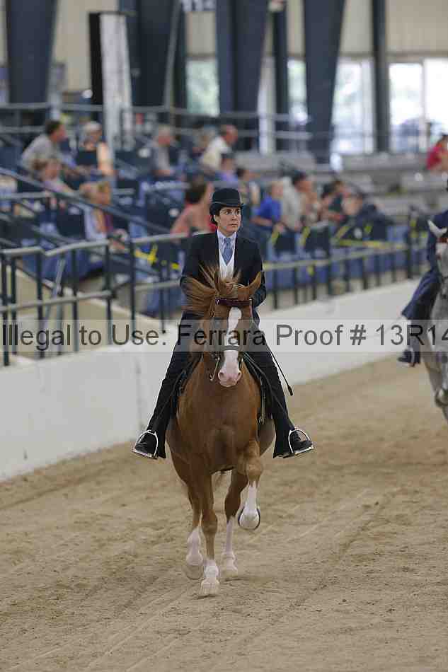 Proof 13r14_2871