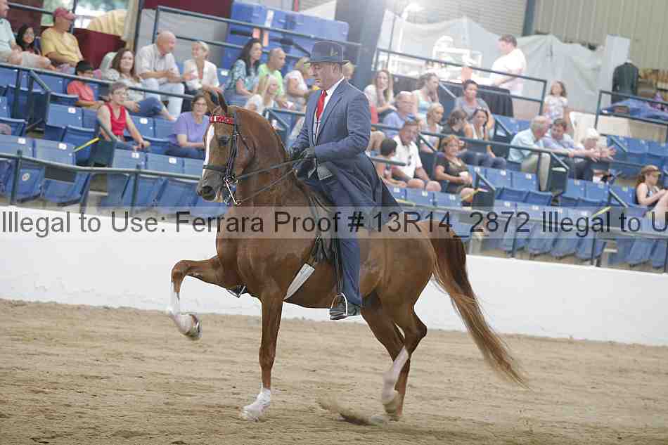Proof 13r14_2872