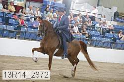13r14_2872 proof