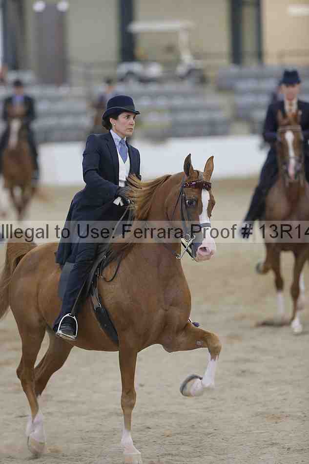 Proof 13r14_2873
