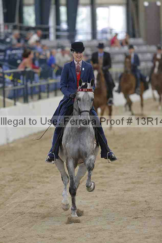 Proof 13r14_2874