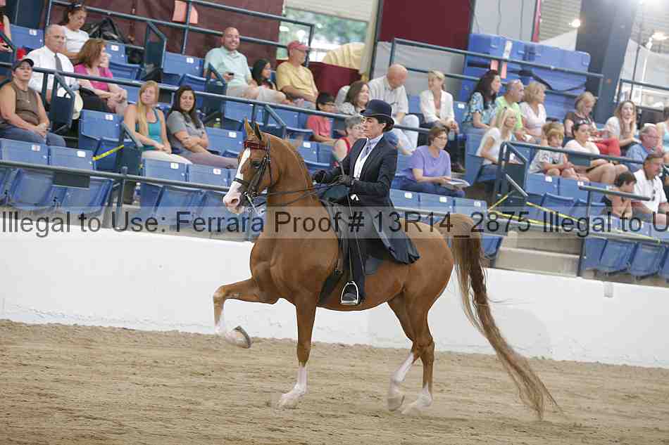 Proof 13r14_2875