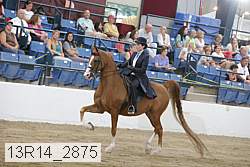13r14_2875 proof