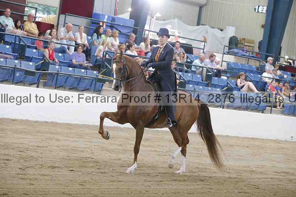 Proof 13r14_2876