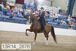 13r14_2876 proof
