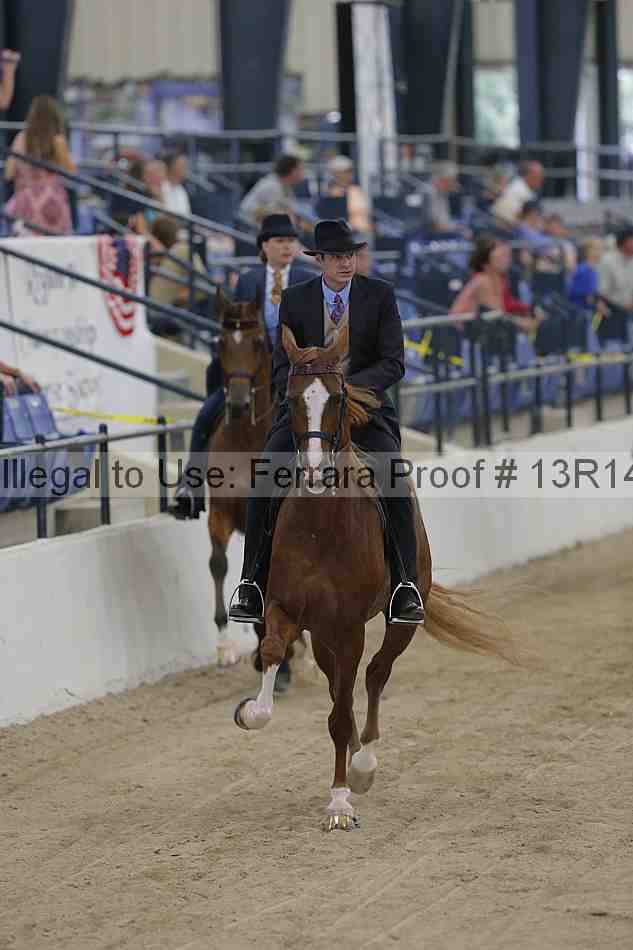 Proof 13r14_2877
