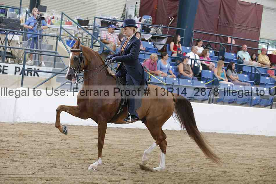 Proof 13r14_2878