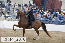 13r14_2878 proof