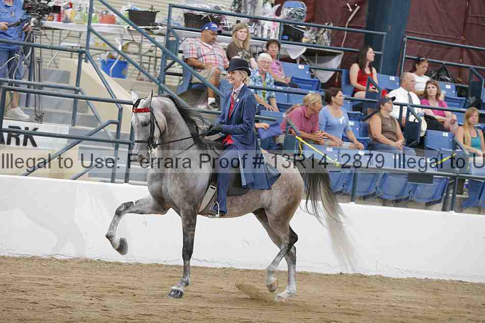 Proof 13r14_2879