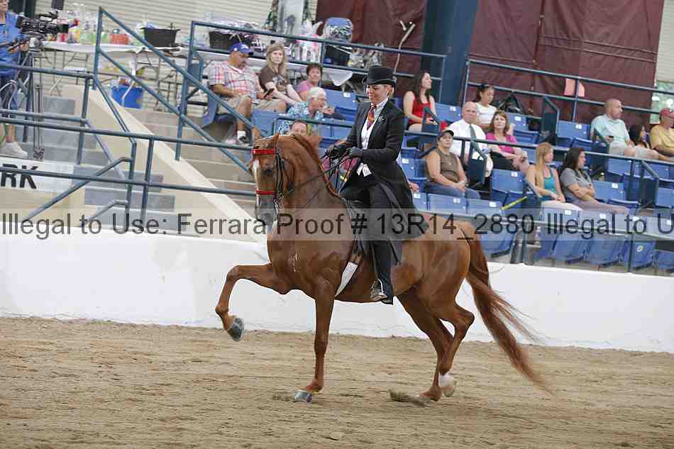 Proof 13r14_2880