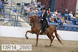 13r14_2880 proof