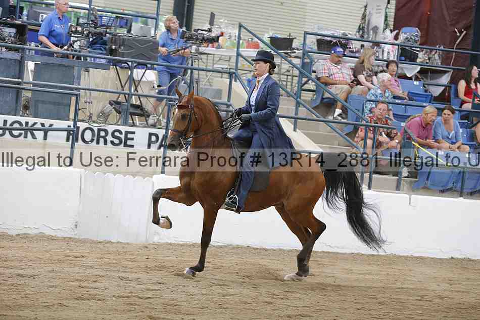 Proof 13r14_2881