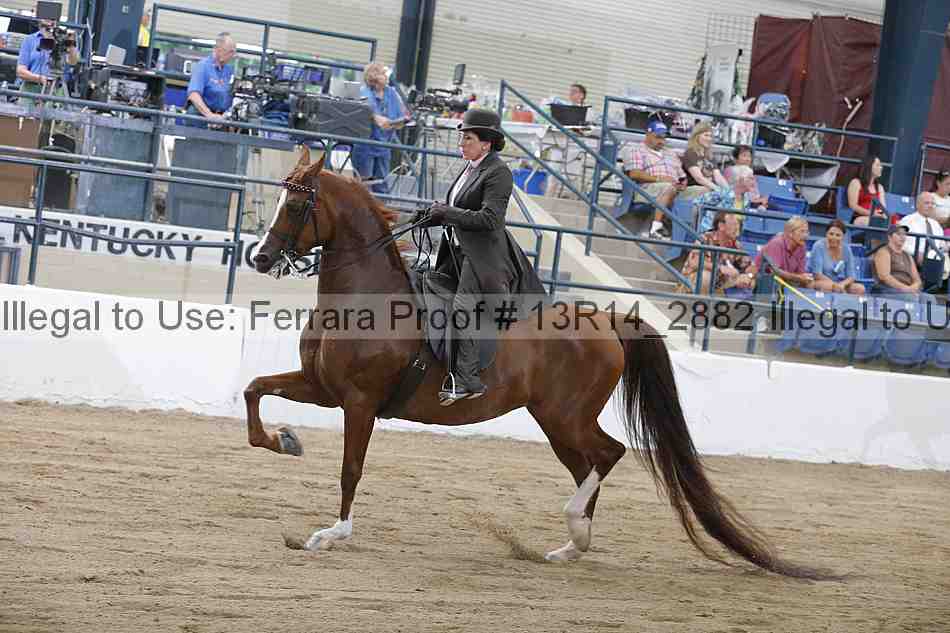 Proof 13r14_2882