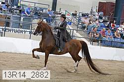 13r14_2882 proof
