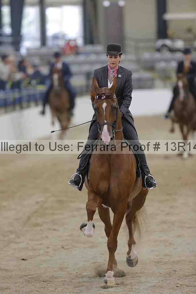Proof 13r14_2884
