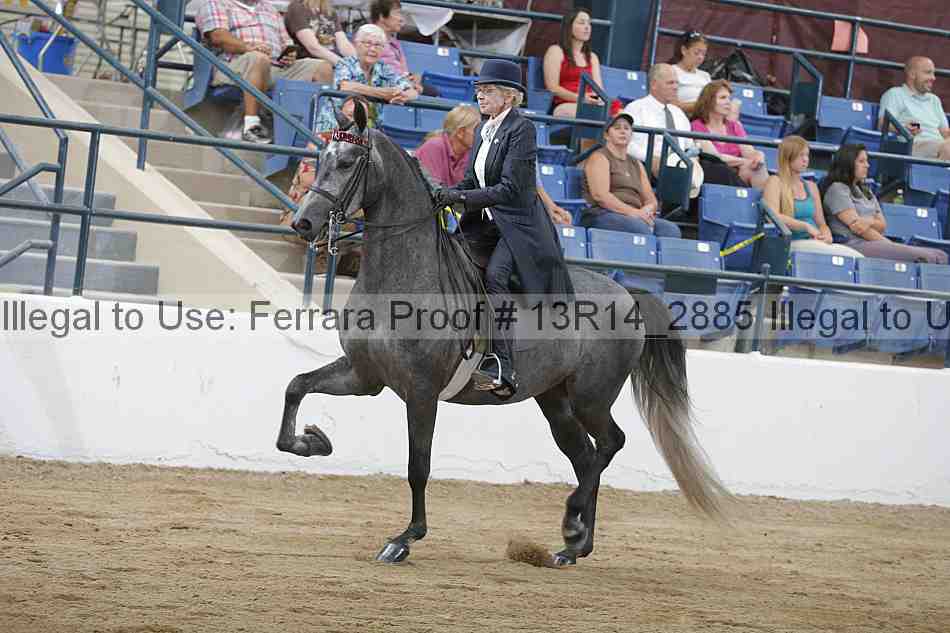 Proof 13r14_2885