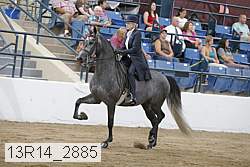 13r14_2885 proof