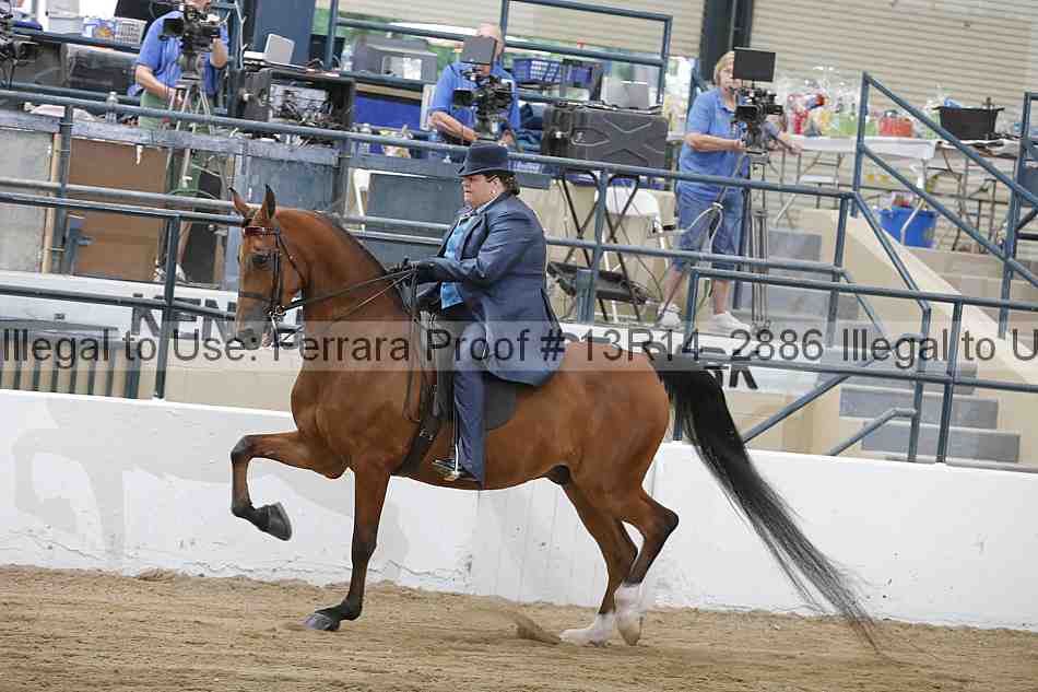 Proof 13r14_2886