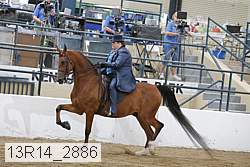 13r14_2886 proof