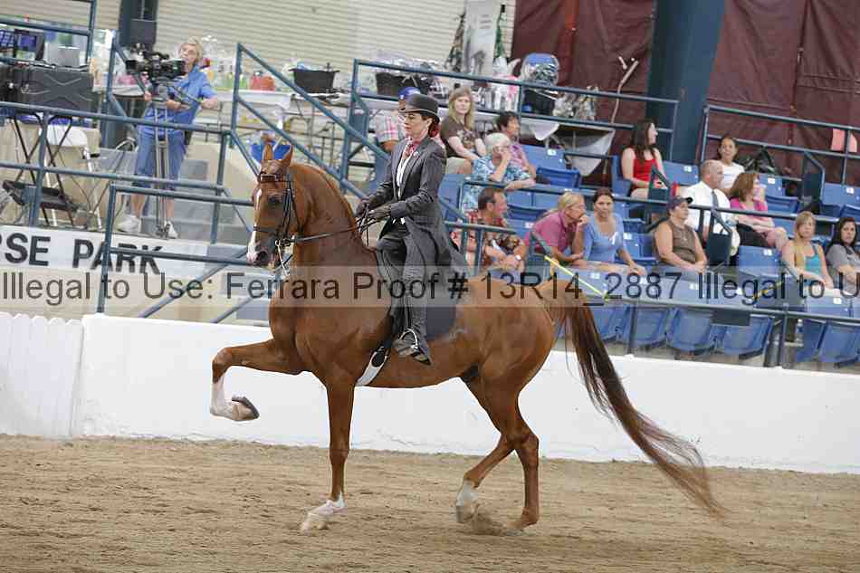 Proof 13r14_2887