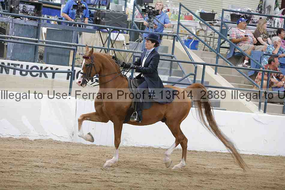 Proof 13r14_2889