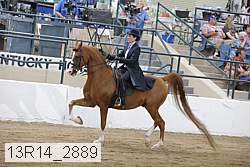 13r14_2889 proof