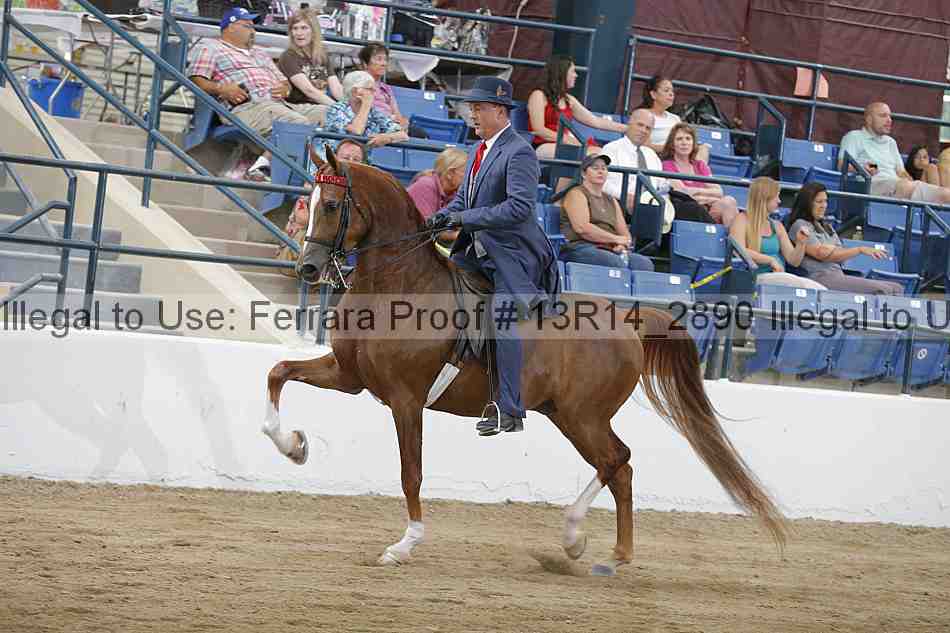 Proof 13r14_2890