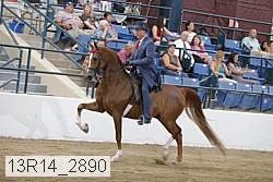 13r14_2890 proof