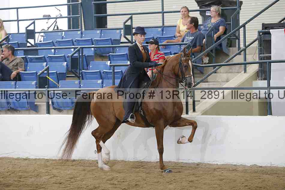 Proof 13r14_2891