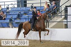 13r14_2891 proof