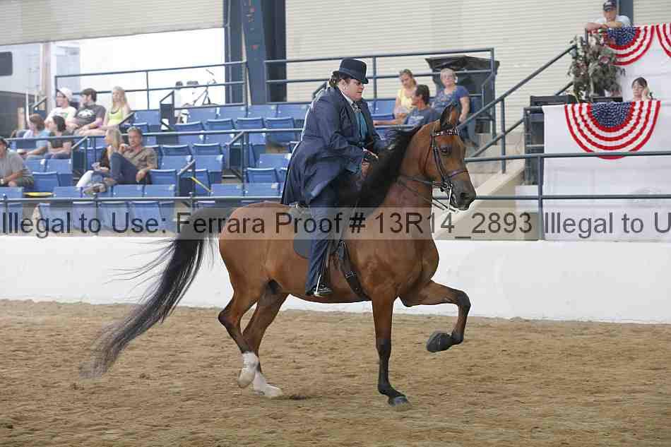Proof 13r14_2893