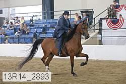 13r14_2893 proof