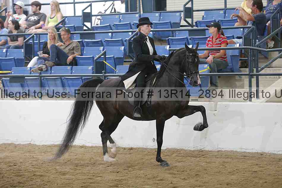 Proof 13r14_2894
