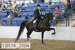 13r14_2894 proof