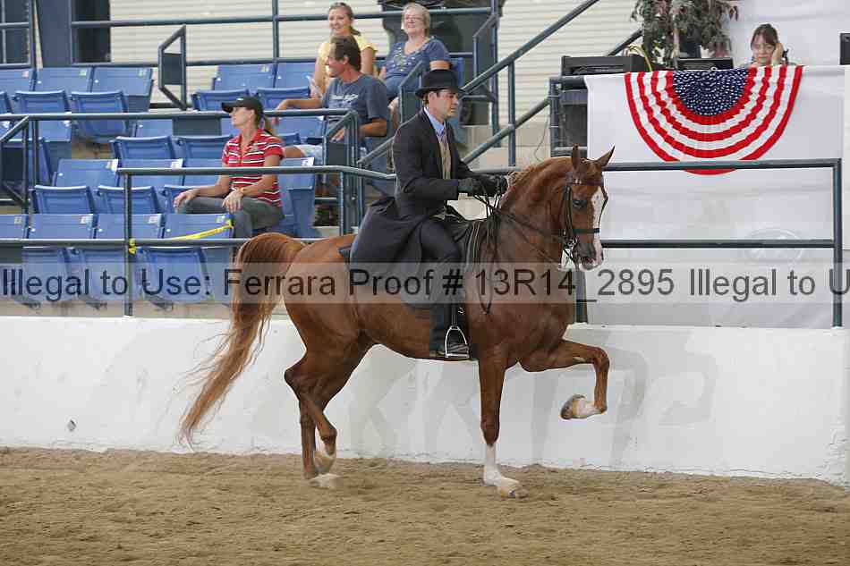 Proof 13r14_2895