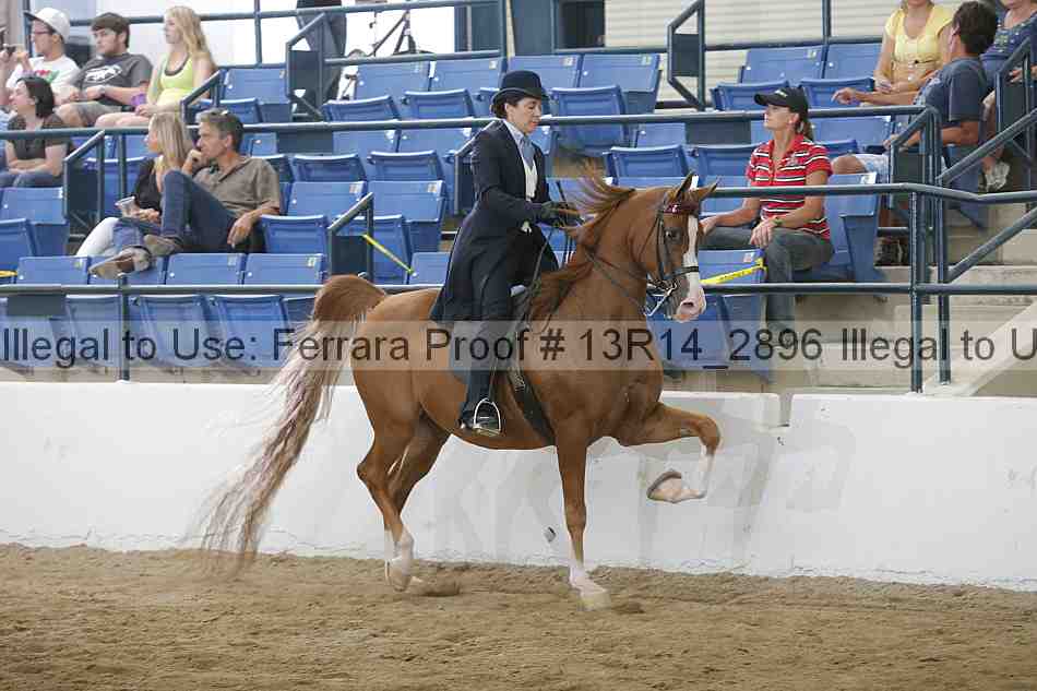 Proof 13r14_2896