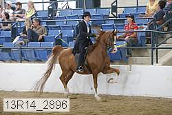 13r14_2896 proof