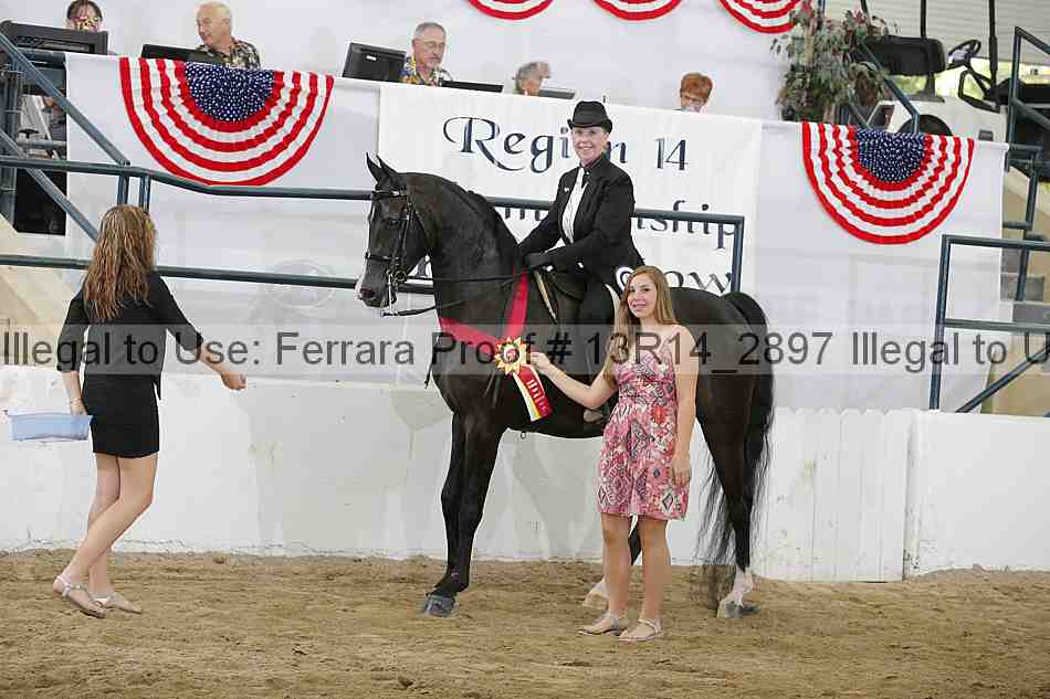 Proof 13r14_2897