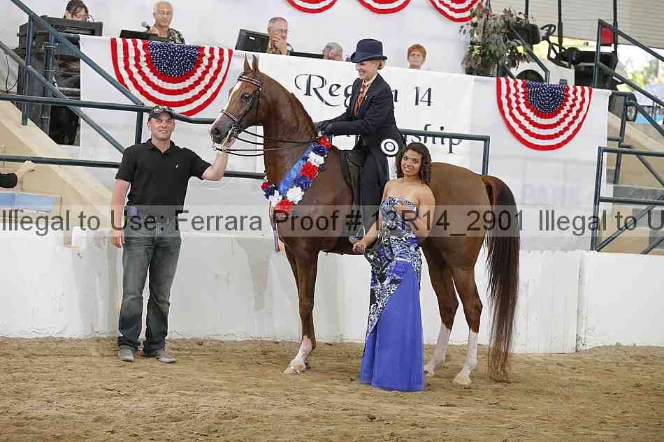 Proof 13r14_2901