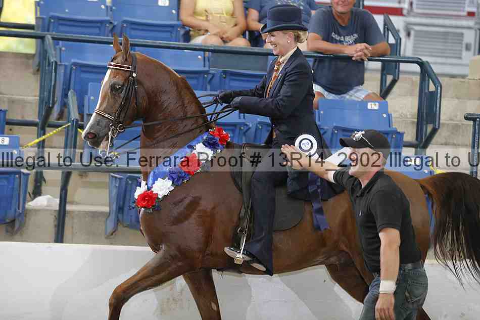 Proof 13r14_2902